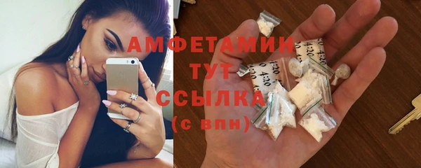 шишки Приозерск